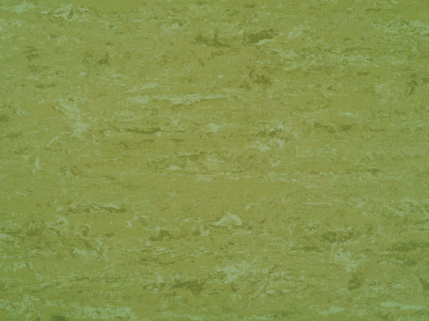 0001-Avocado-Green
