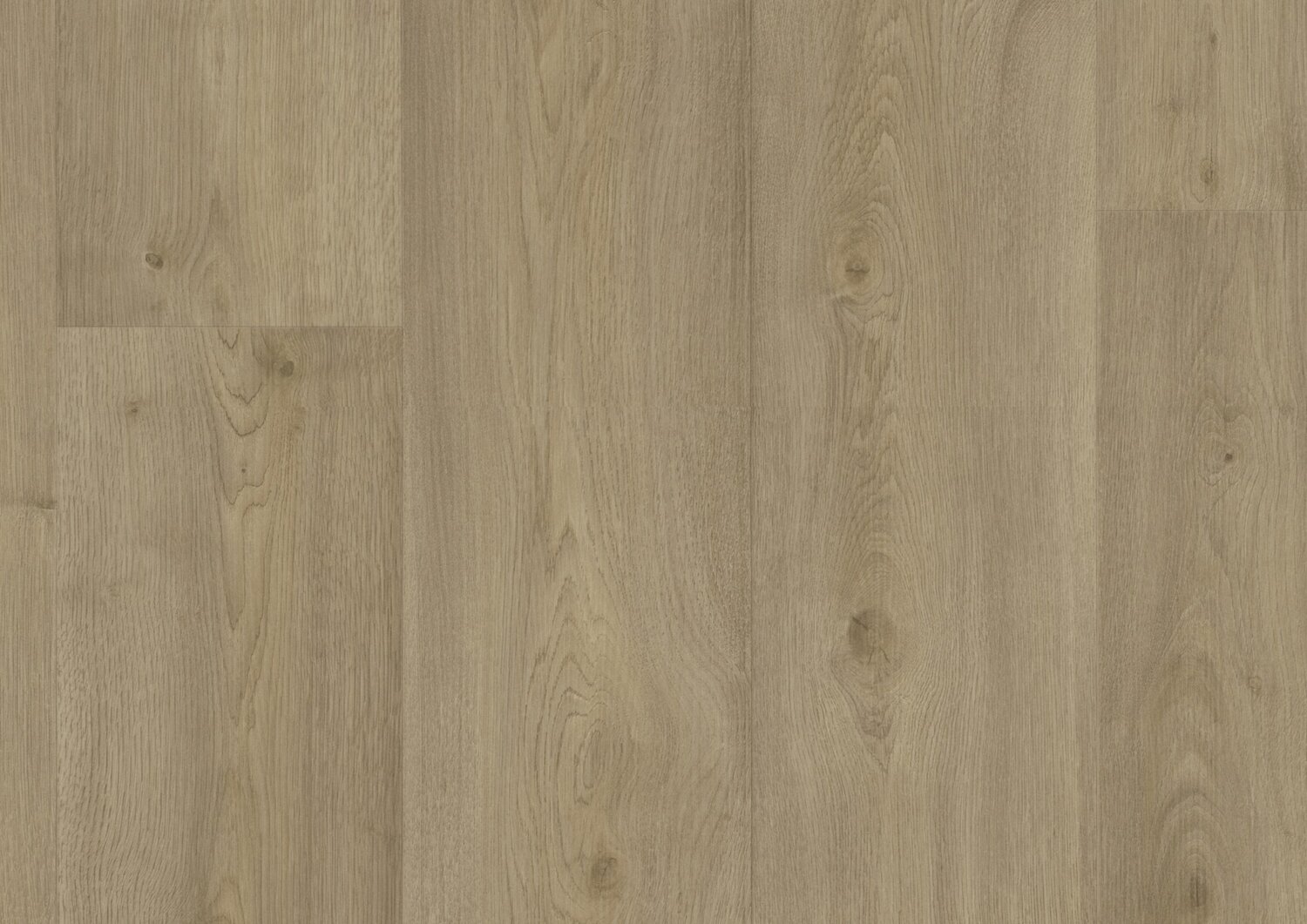 RS35301_Sherwood Leather - Frontal-lpr.jpg