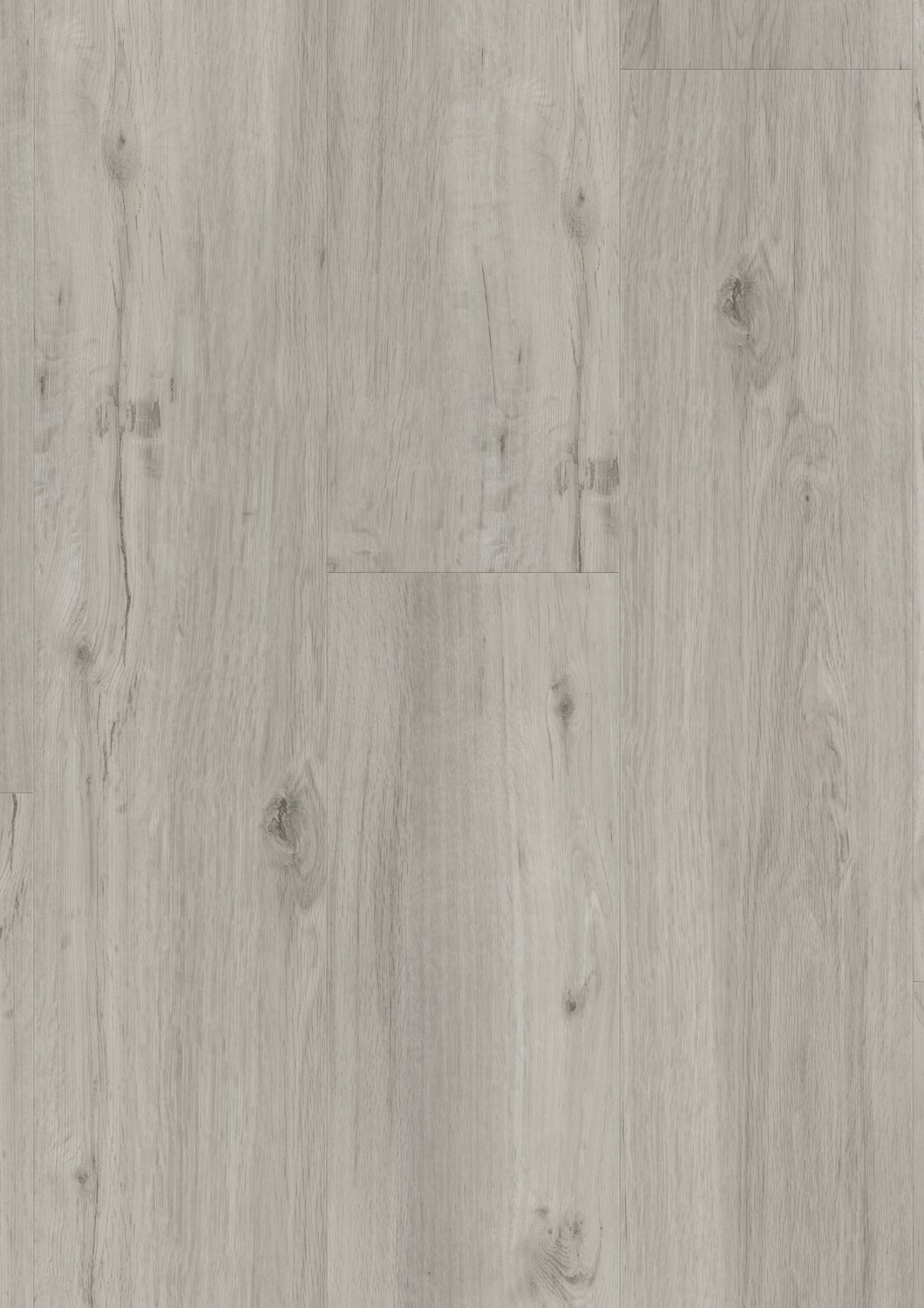 RS36503_Daisy pearl frontal.jpg