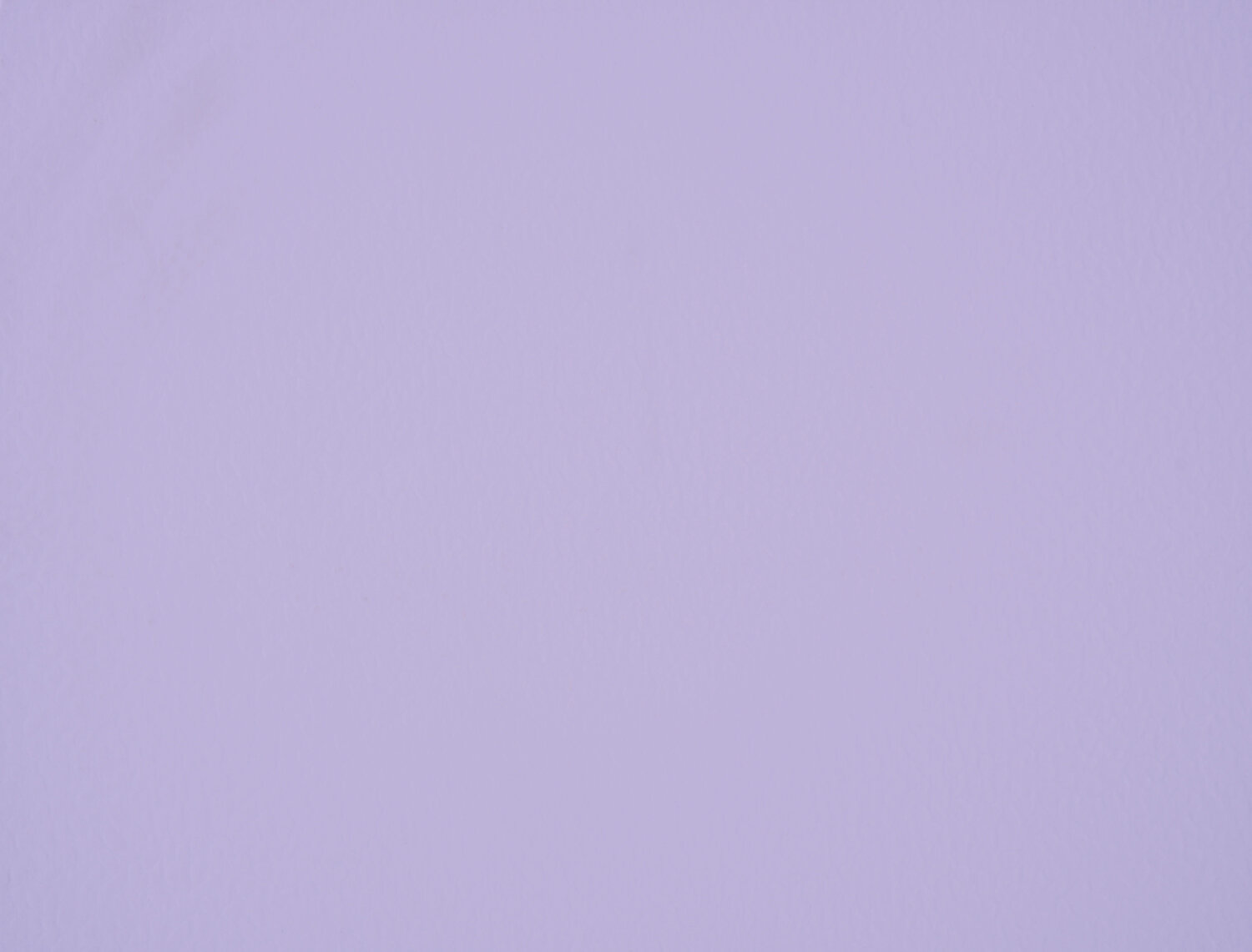 Mallow.jpg