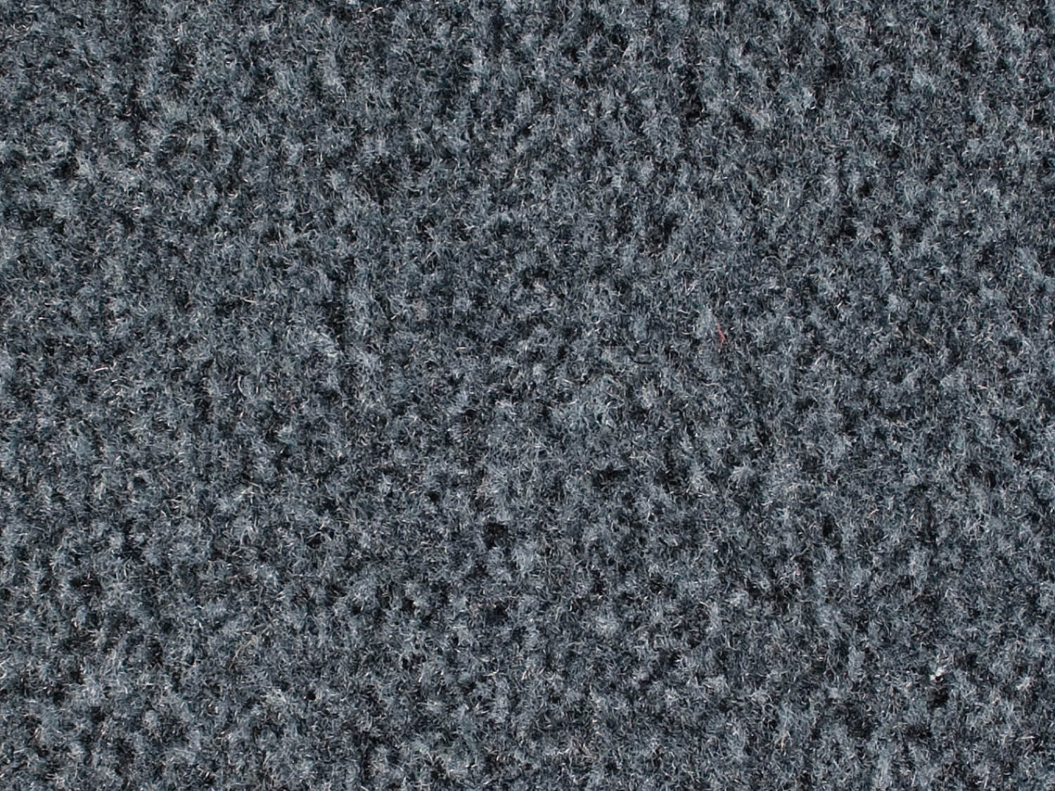 Gradus - Boulevard 5000 - Cuckoo