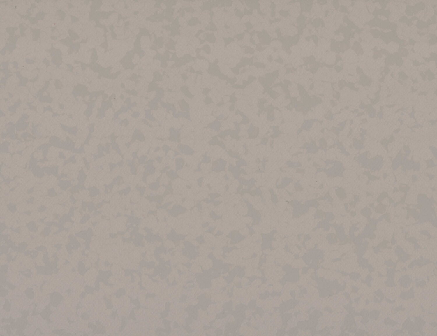 SCAN O ANGORA.jpg