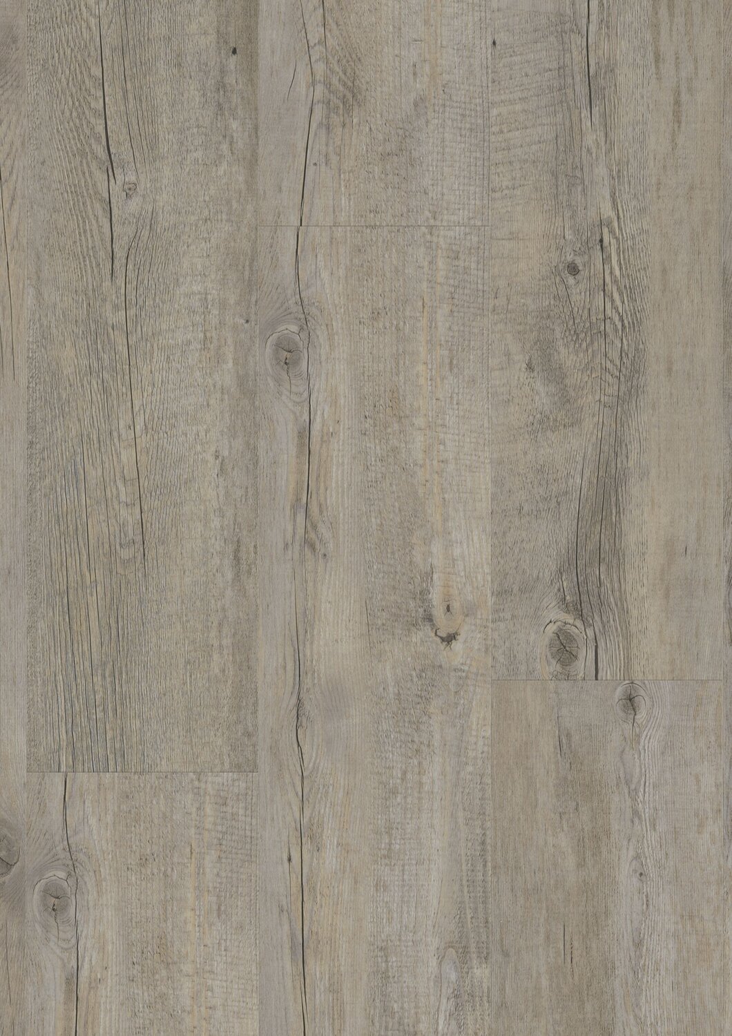 JPG 72 dpi-RS45597_Pecan frontal.jpg