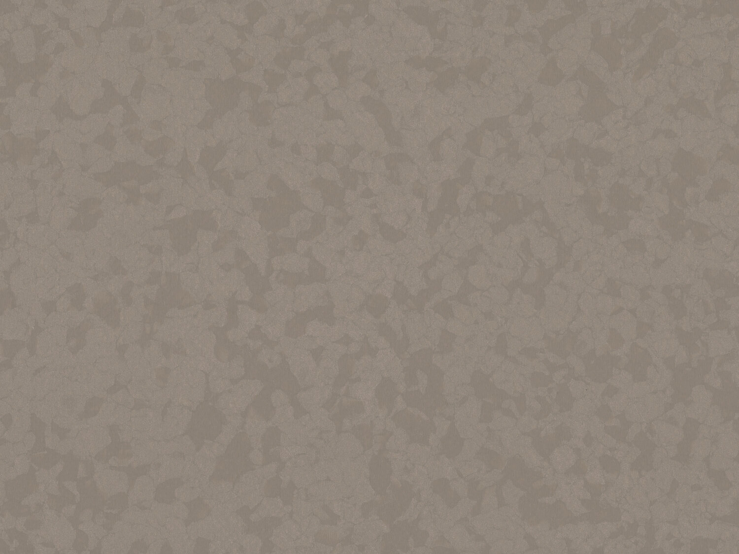 Taralay Premium -Greige 4351 -Osmoz 