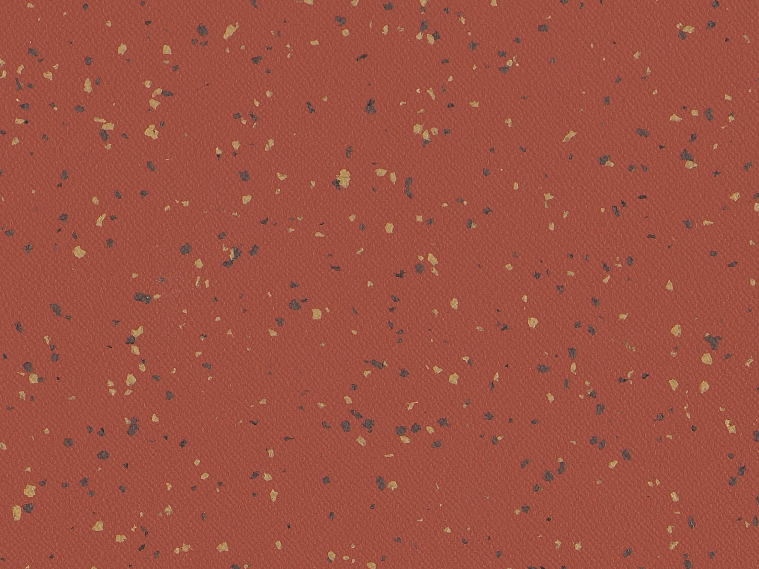 PREMIUM - 4051 INDIANA Maraca
