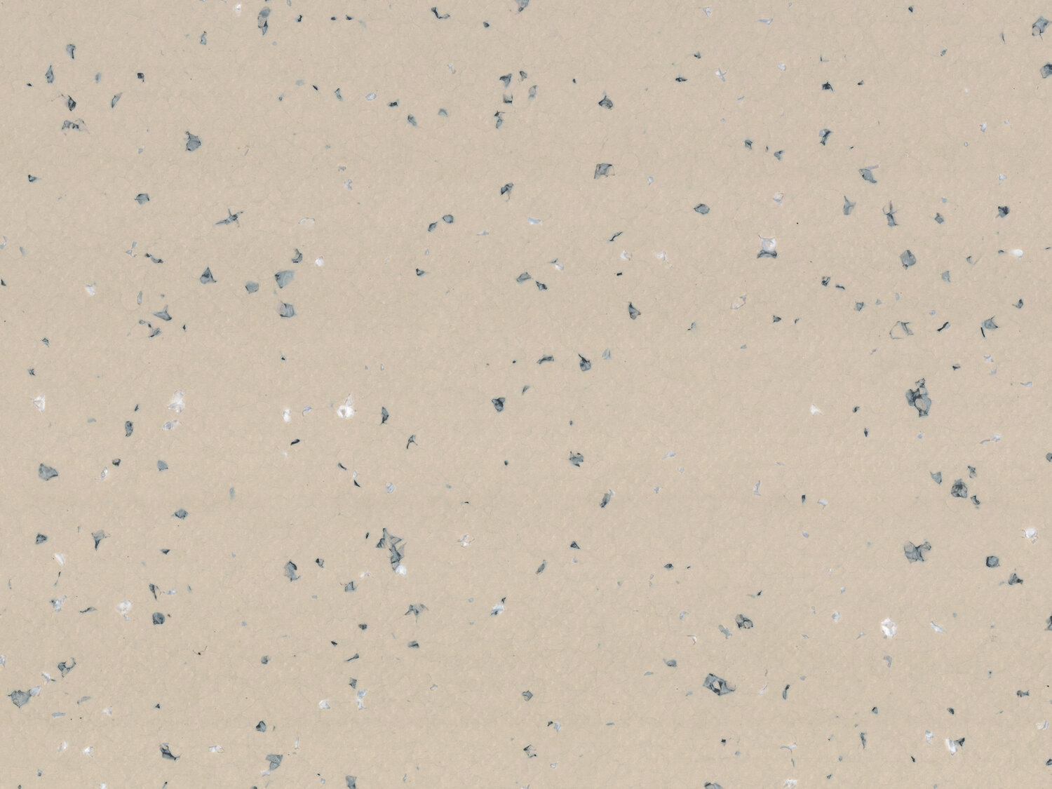 Taralay Premium -Indiana-4343-Tokelau
