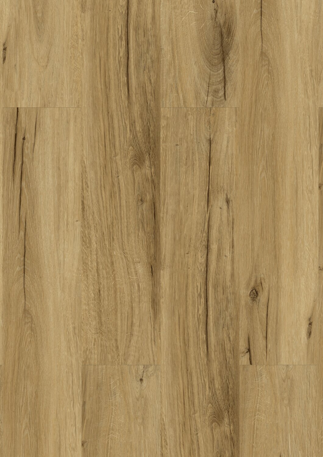 Bambi Fauve Frontal View.jpg