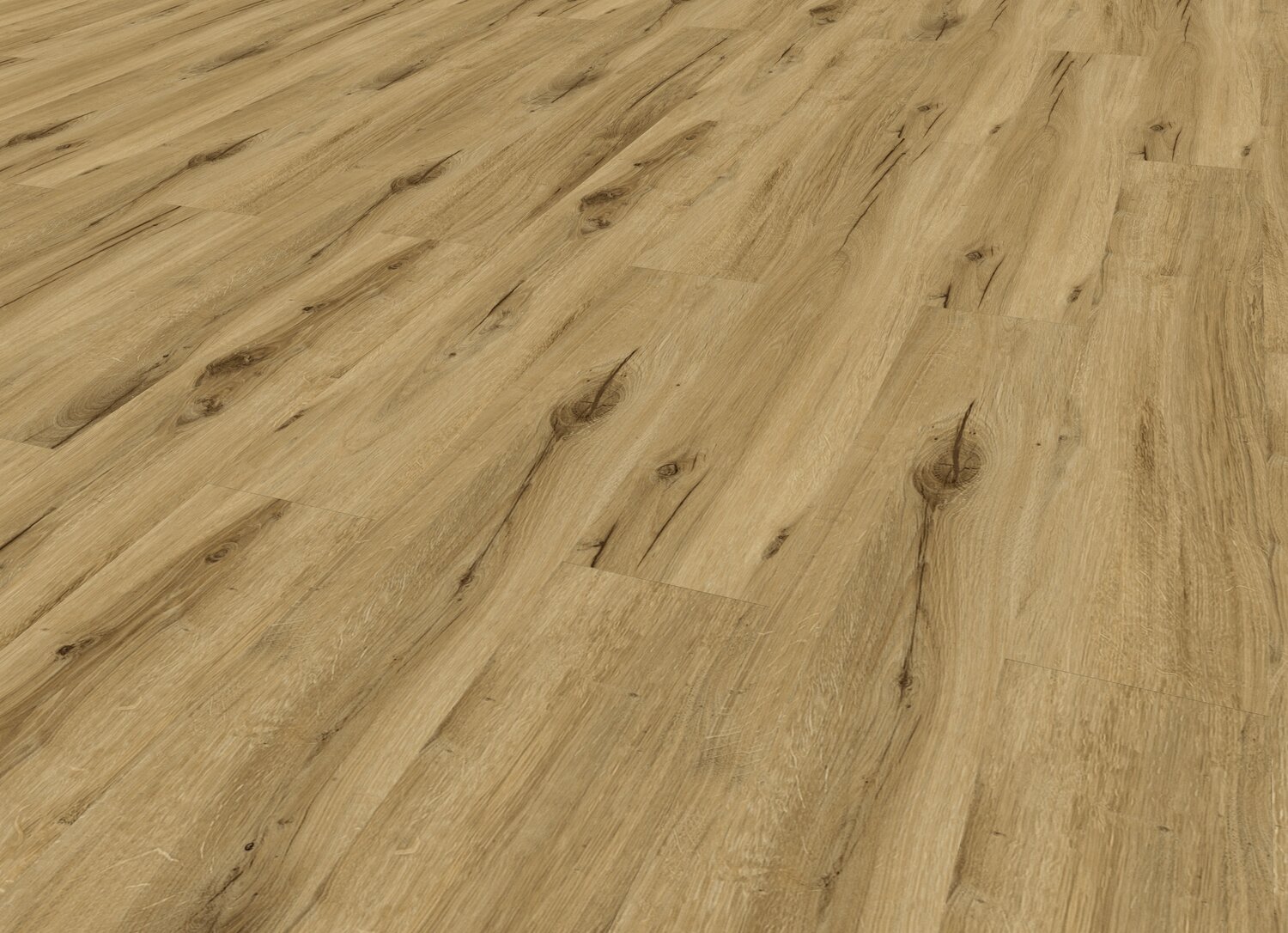 Bambi Fauve Perspective Vew.jpg