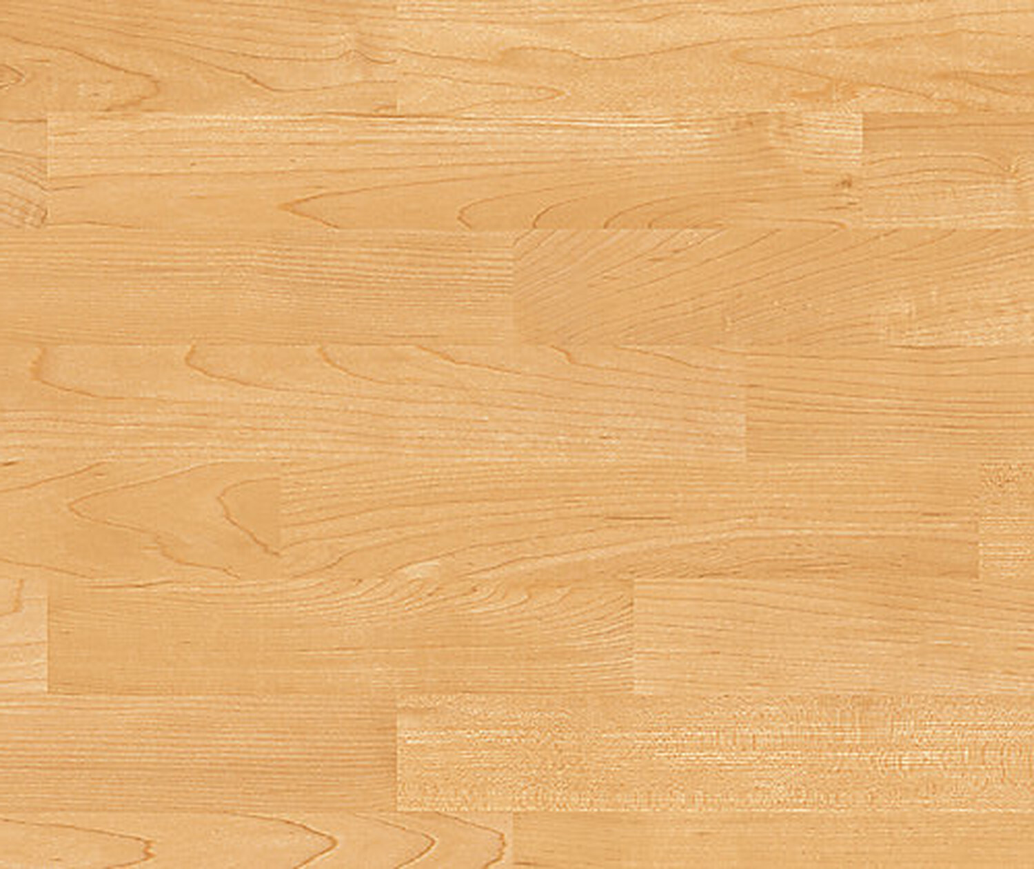 Maple-Sun(2).jpg